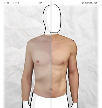 Torso Comparison