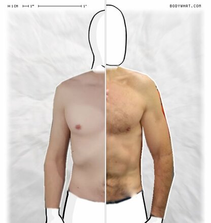 Torso Comparison