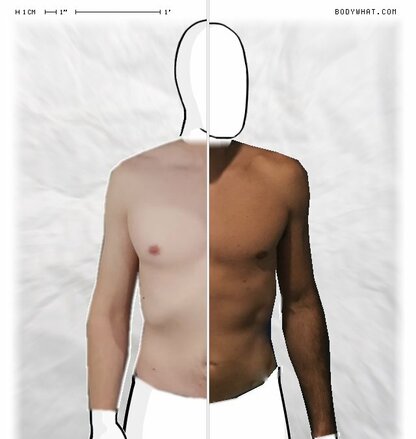 Torso Comparison