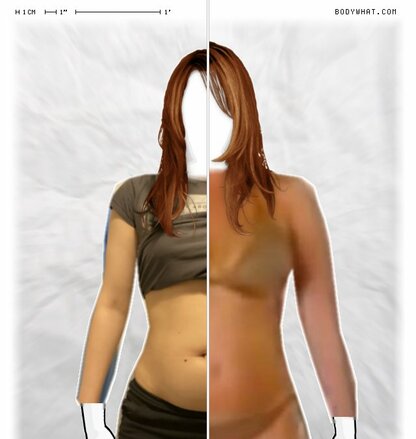 Torso Comparison