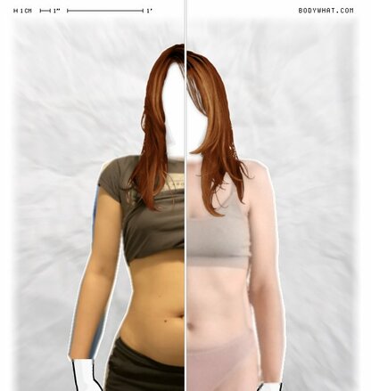 Torso Comparison