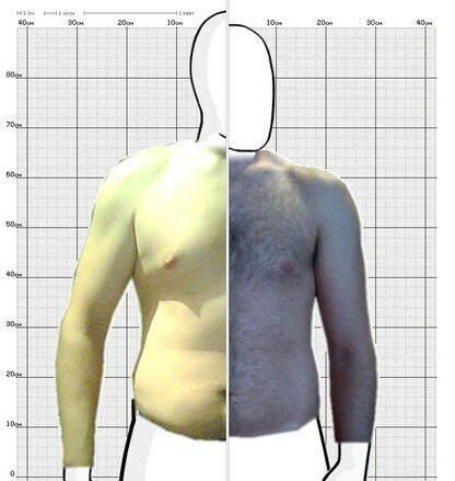 Torso Comparison