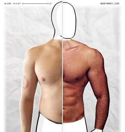 Torso Comparison
