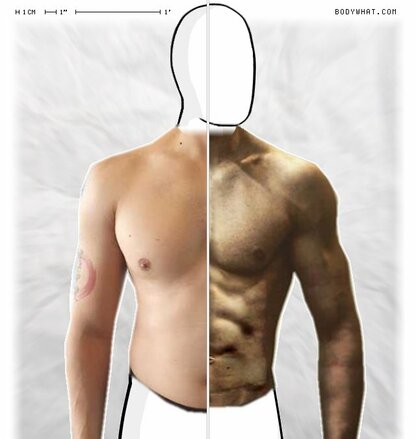 Torso Comparison