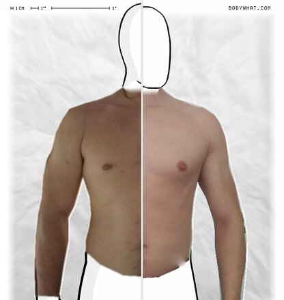 Torso Comparison