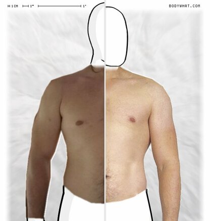 Torso Comparison