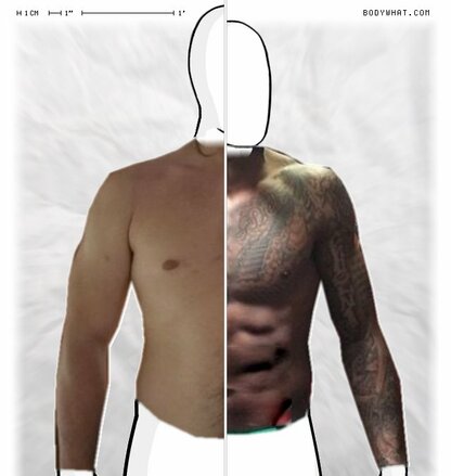 Torso Comparison