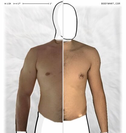 Torso Comparison