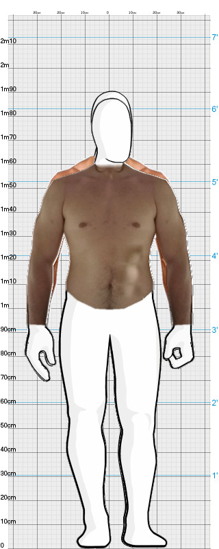 Full Size Comparison