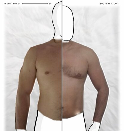 Torso Comparison