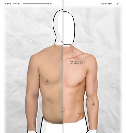 Torso Comparison