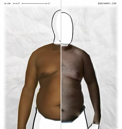 Torso Comparison