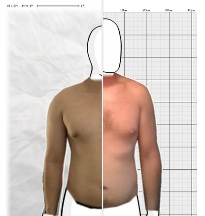 Torso Comparison