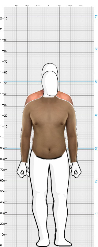 Full Size Comparison