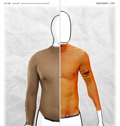 Torso Comparison