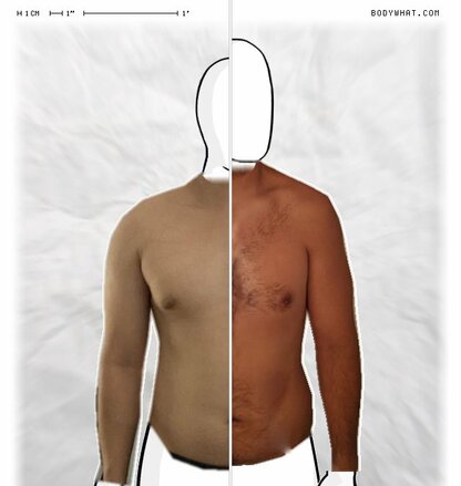 Torso Comparison