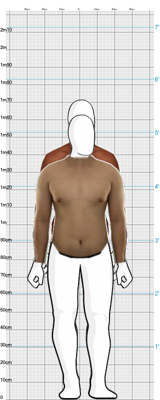Full Size Comparison
