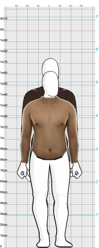 Full Size Comparison