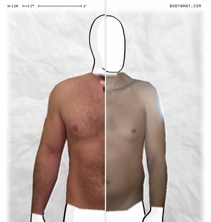 Torso Comparison