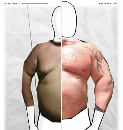 Torso Comparison