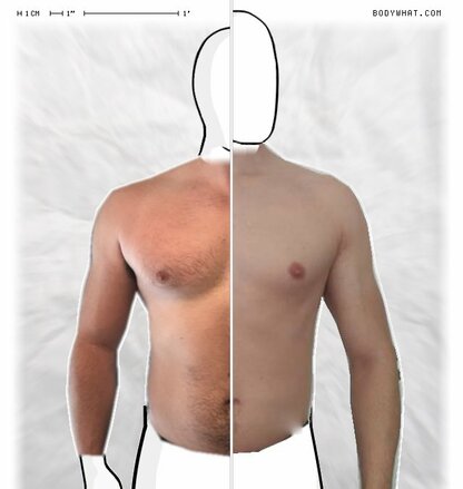 Torso Comparison