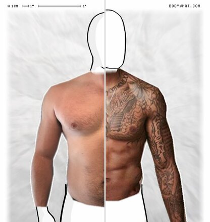 Torso Comparison