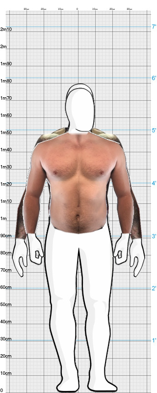 Full Size Comparison