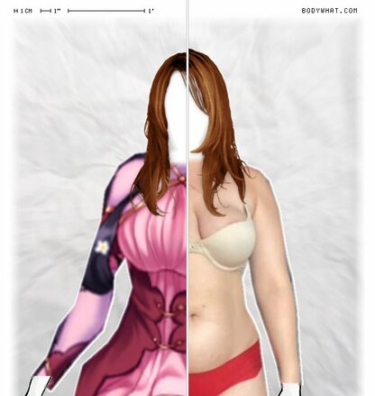 Torso Comparison