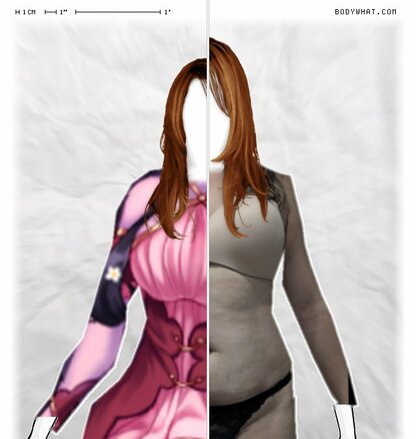 Torso Comparison