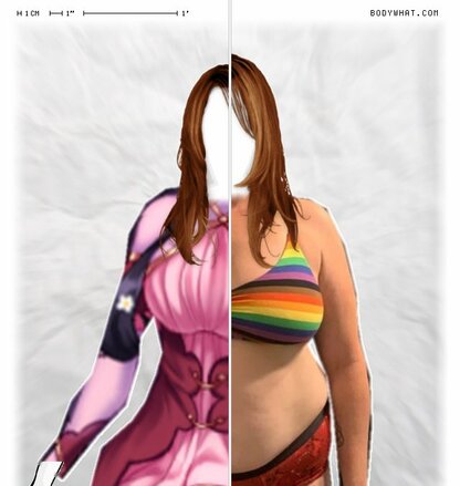 Torso Comparison
