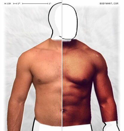 Torso Comparison