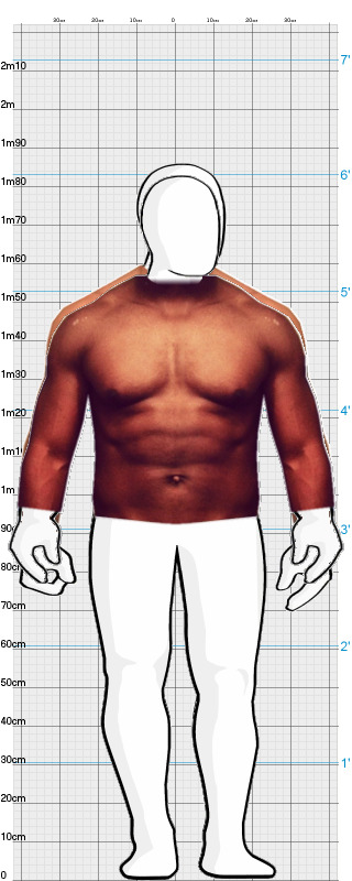 Full Size Comparison
