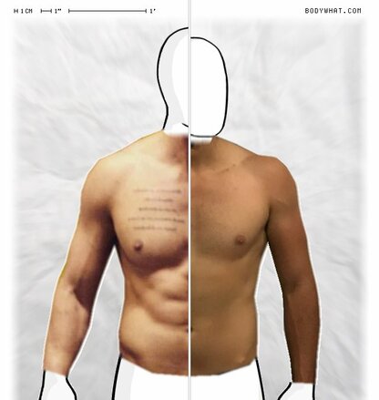 Torso Comparison