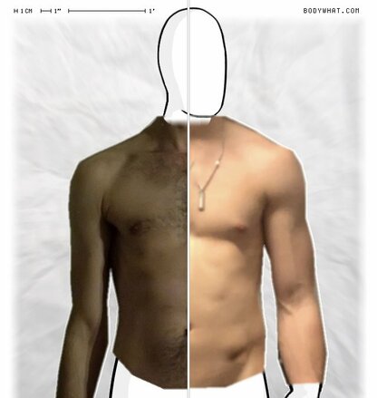 Torso Comparison