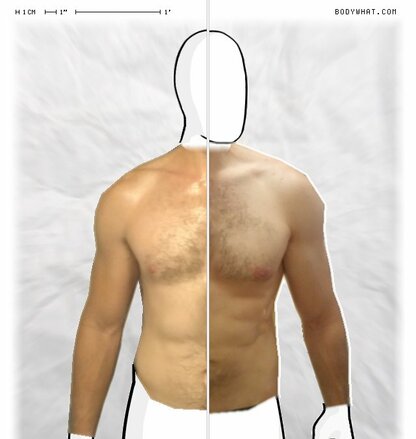 Torso Comparison