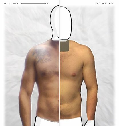 Torso Comparison