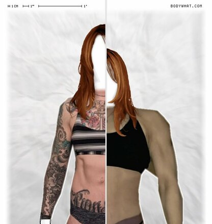 Torso Comparison
