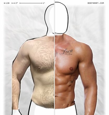 Torso Comparison
