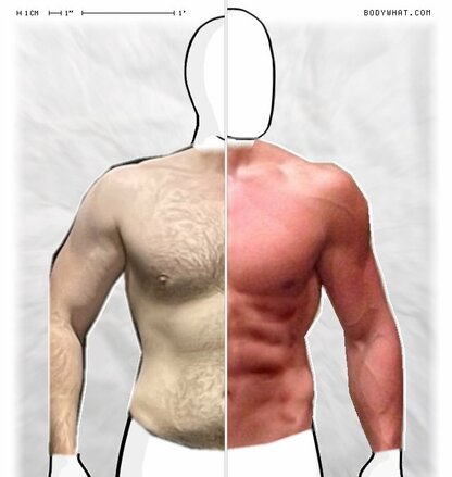Torso Comparison