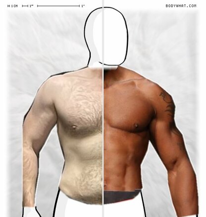 Torso Comparison
