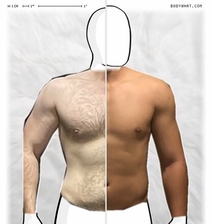 Torso Comparison