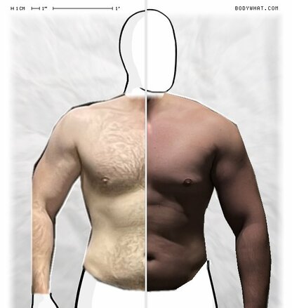 Torso Comparison