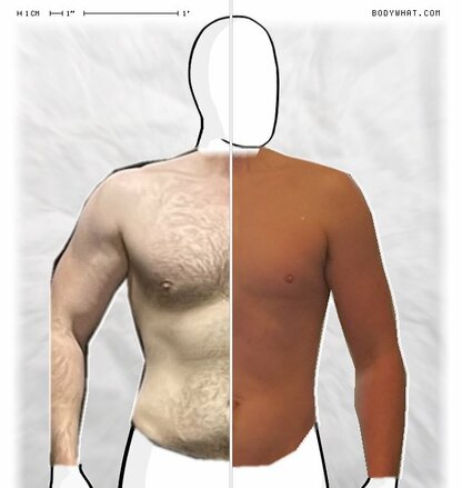 Torso Comparison