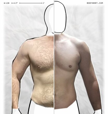 Torso Comparison