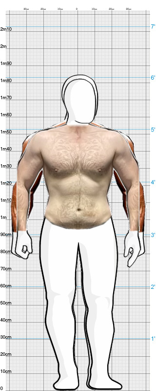 Full Size Comparison