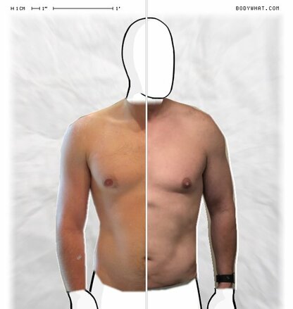 Torso Comparison