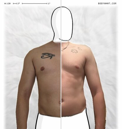 Torso Comparison