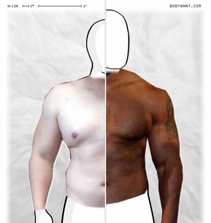 Torso Comparison