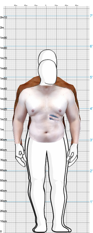 Full Size Comparison
