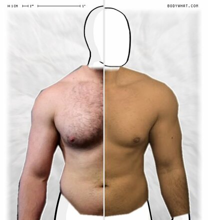 Torso Comparison